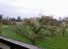 Blick vom Balkon : Aßbichler, FeWo, Ferienwohnung, Gschwingerhof, Obermoosen