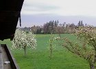 Blick vom Balkon : Aßbichler, FeWo, Ferienwohnung, Gschwingerhof, Obermoosen